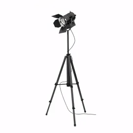 Spotlight on the tripod